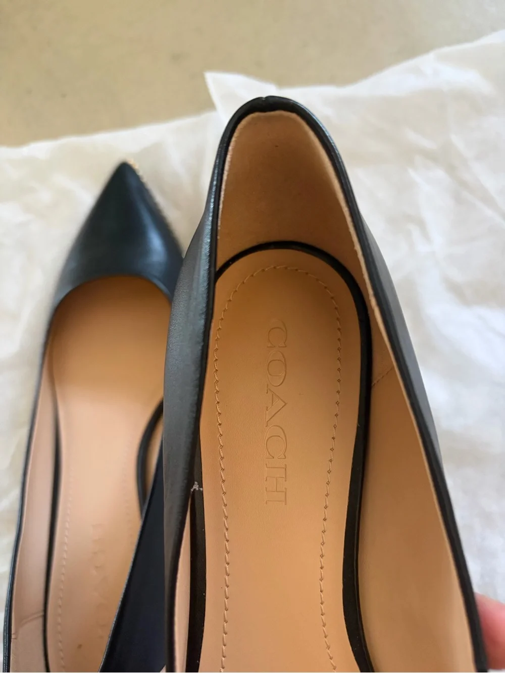 Coach Black Pointed Toe Willa Pump